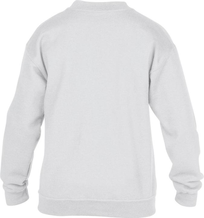 Image du produit Gildan Sweat-shirt à col rond (XS)