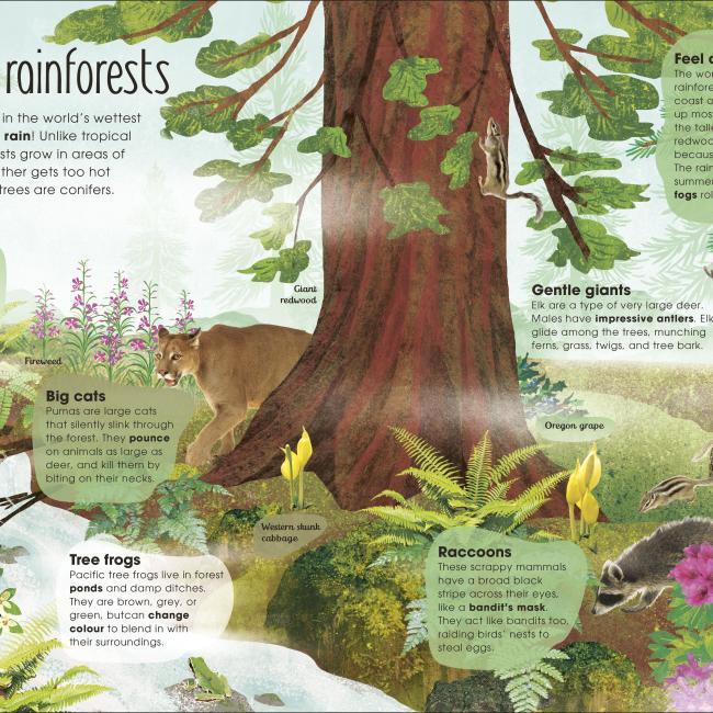 Immagine prodotto RHS The Magic and Mystery of Trees (Inglese, Jen Green, Claire McElfatrick, 2019)