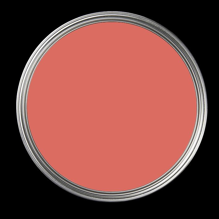 Produktbild Anna von Mangoldt Schlüterstrasse 301 - Wandfarbe Resist (Schlüterstrasse 301, 10 l)