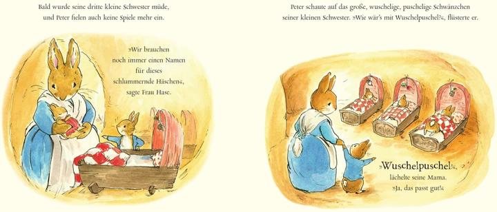 Actual product image Grosser Bruder Peter Hase (German, Beatrix Potter, 2020)