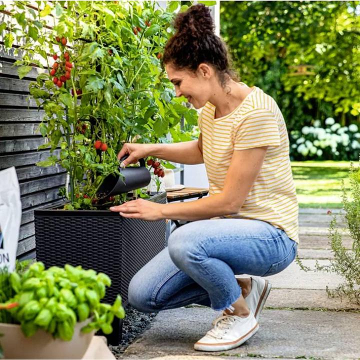 Image du produit Lechuza Trio Cottage (32 cm)