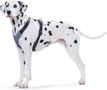 Image du produit Hunter Harnais pour chien (1, M, Chien, Général)