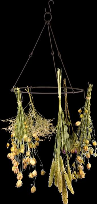Actual product image Esschert Design Hanging decoration flower and herb dryer