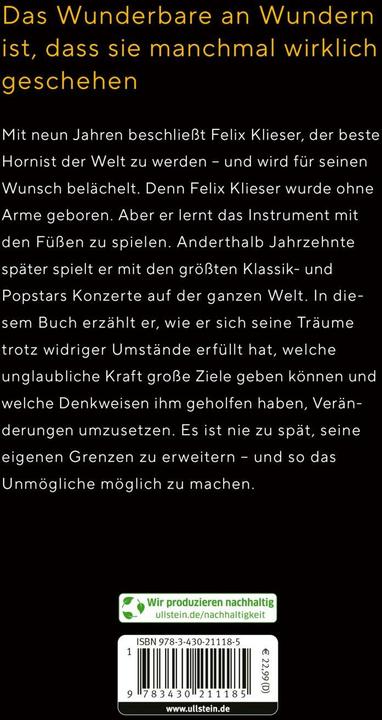 Actual product image Stell dir vor, es geht nicht, und einer tut es doch (German, Felix Klieser, 2024)