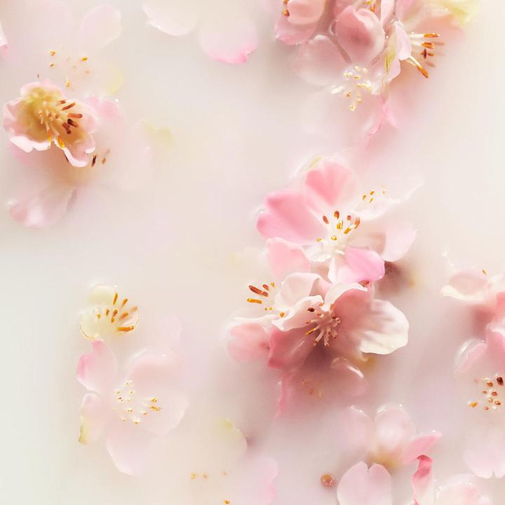 Actual product image Rituals L.I.A.J. Sakura Car Perfume