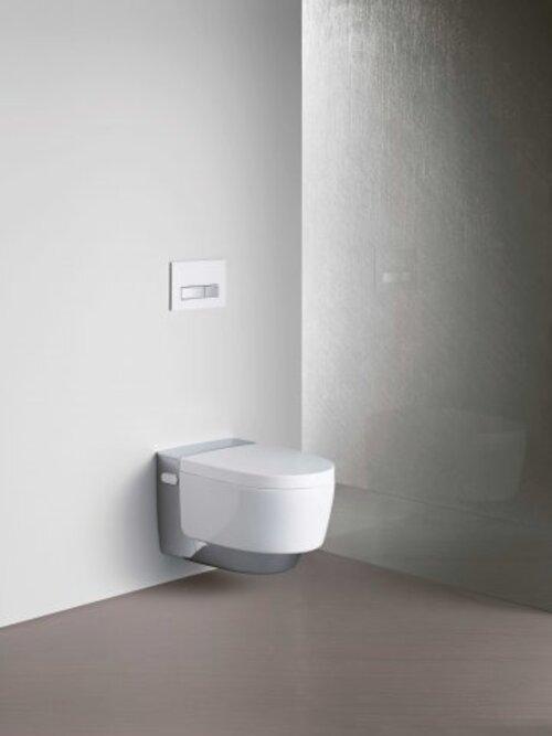 Actual product image Geberit AquaClean Mera