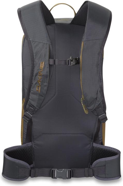 Actual product image Dakine Mission Pro 18L 2023 Backpack (18 l)