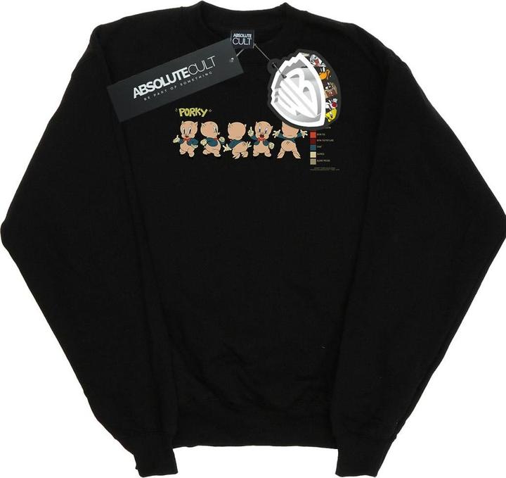 Looney Tunes Porky Pig Colour Code Sweatshirt (L)
