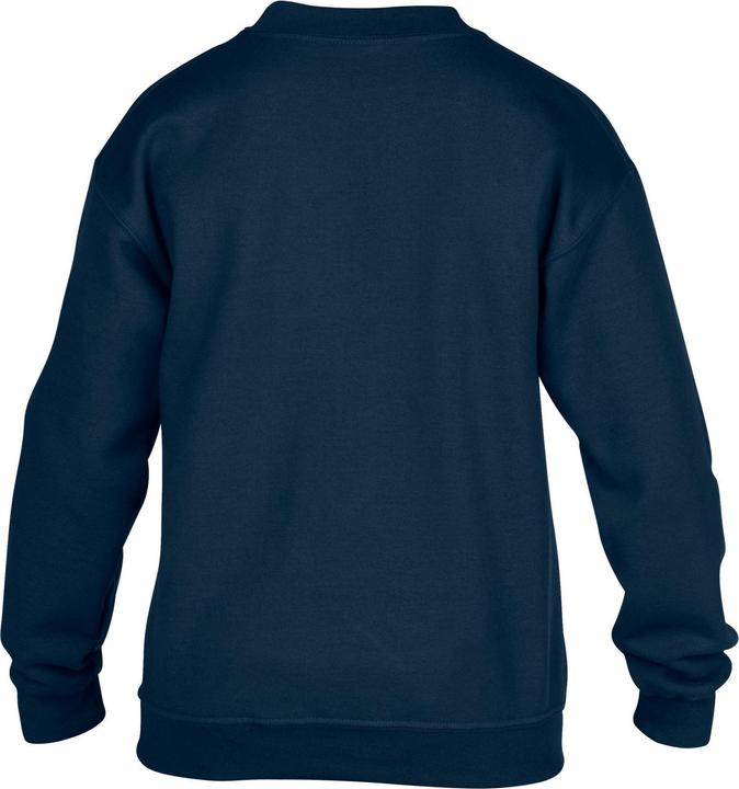 Actual product image Gildan Childrens/Kids Heavy Blend Crew Neck Sweatshirt (158, 164)