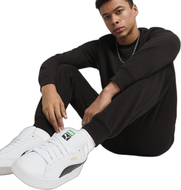 Actual product image Puma ESS No. 1 Logo Sweatpants FL cl (L)