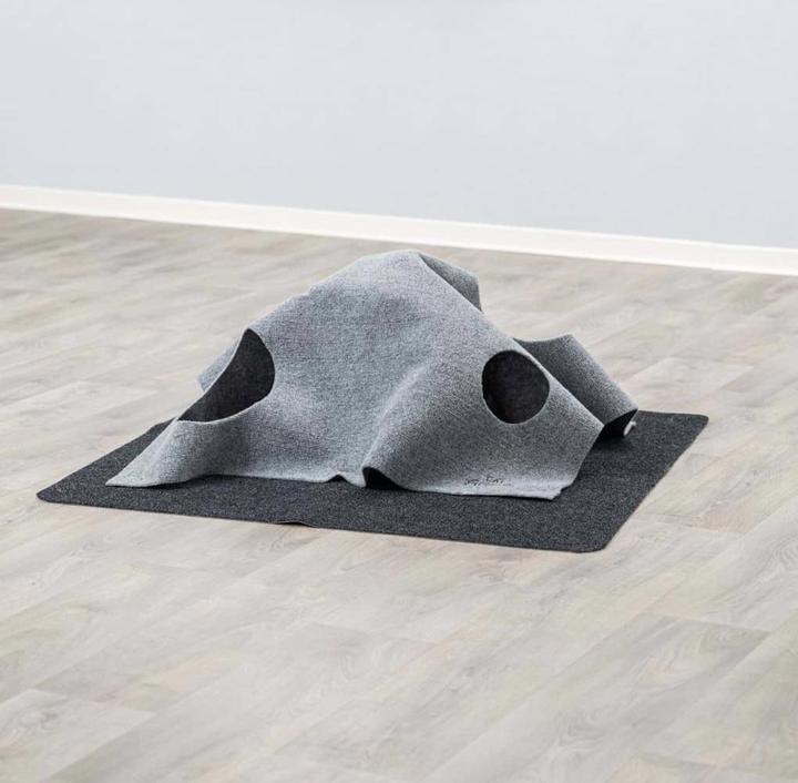 Actual product image Trixie Adventure Carpet