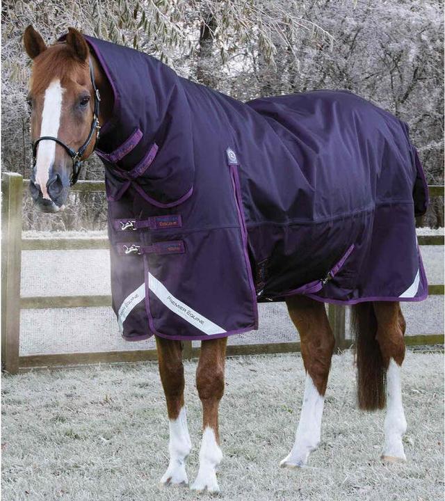 Produktbild Premier Equine Buster Storm Classic 420 g (183 cm)