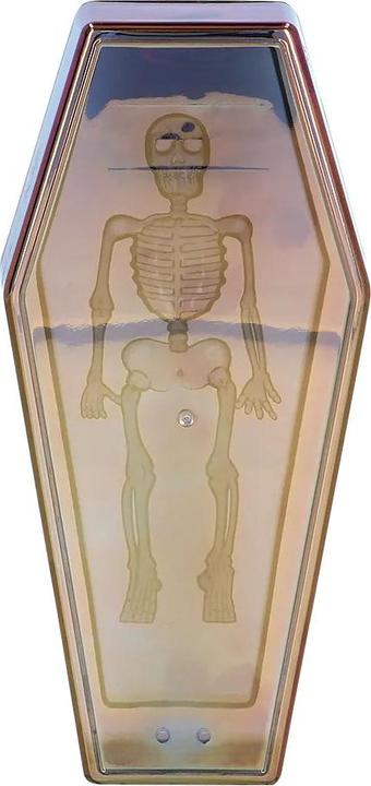 Produktbild Boland Sargbox irisierend 19x9x4.6cm Kunststoff, Box und Deckel