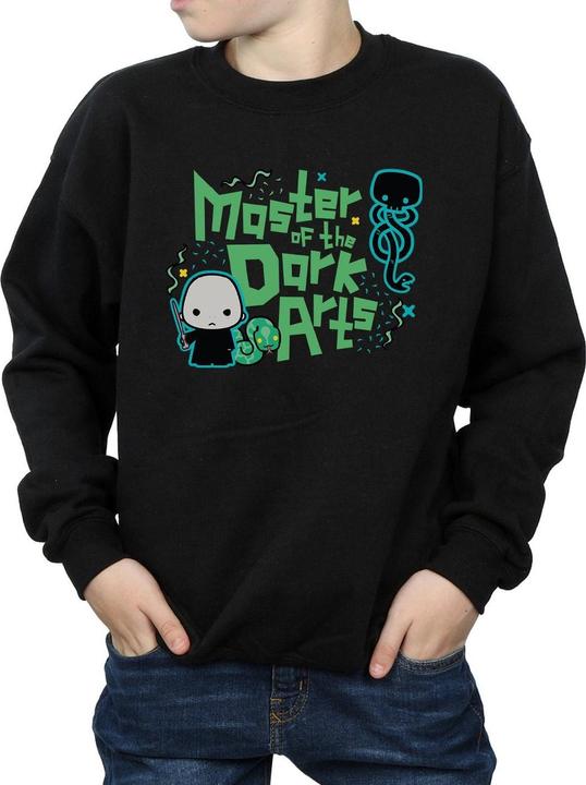 Actual product image Boys Voldemort Dark Arts Junior Sweatshirt (152, 158)
