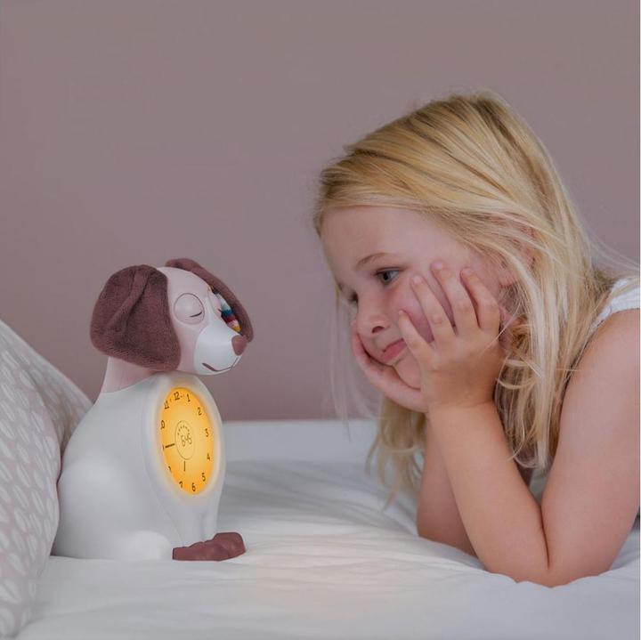 Image du produit ZaZu Coach de sommeil Davy
