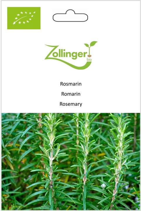 Zollinger Bio Rosmarin
