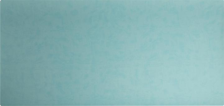 Actual product image Exacompta Desk pad (40 x 80 cm)