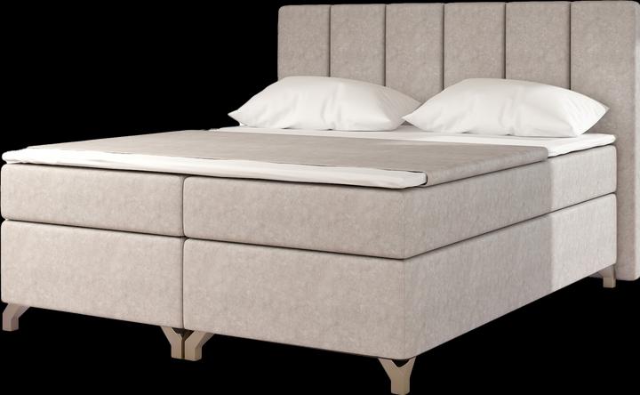 Beige Dora 21