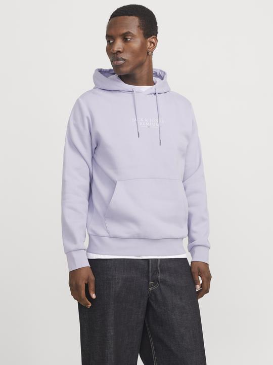 Actual product image Jack & Jones Logo hooded jumper Hooded jumper (XS)