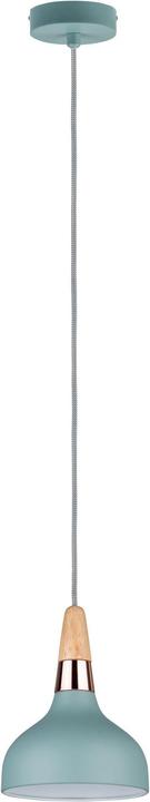 Actual product image Paulmann Neordic Juna (E14)