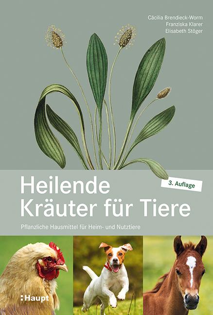 Produktbild Heilende Kräuter für Tiere (Deutsch, Elisabeth Stöger, Franziska Klarer, Cäcilia Brendieck-Worm, 2021)