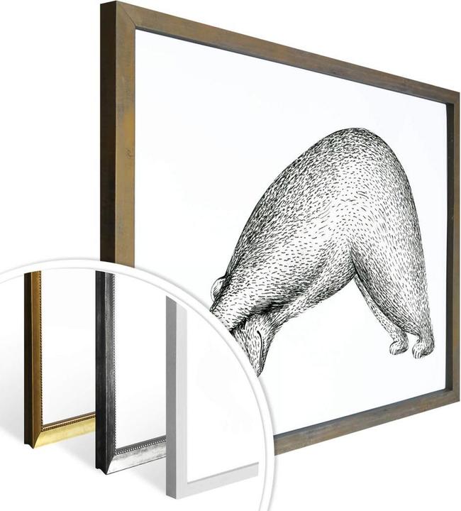 Produktbild Trenddeko Yoga Bär 01 (60 x 50 cm)