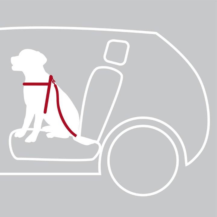 Actual product image Trixie Car harness (M, Dog, General)