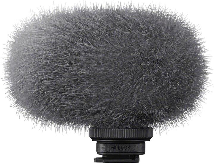 Immagine prodotto Sony ECM-G1