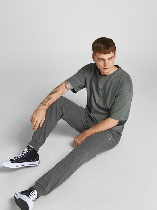 Image du produit Jack & Jones Gordon Sweathose (S)