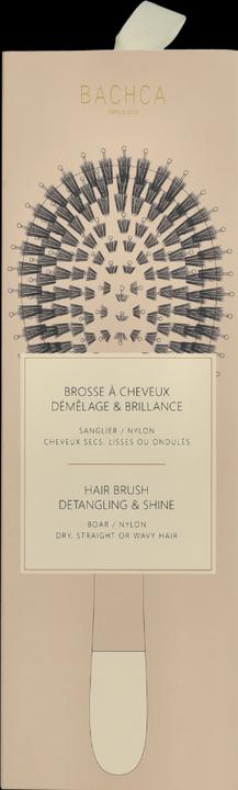 Actual product image Bachca Detangling And Shine Hairbrush