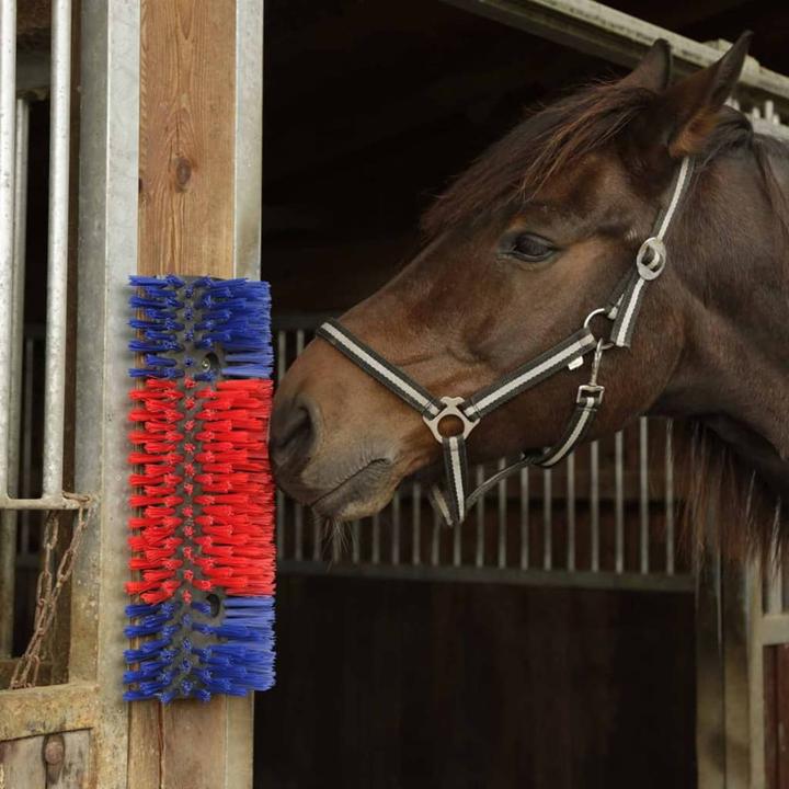 Actual product image Kerbl Scratching brush