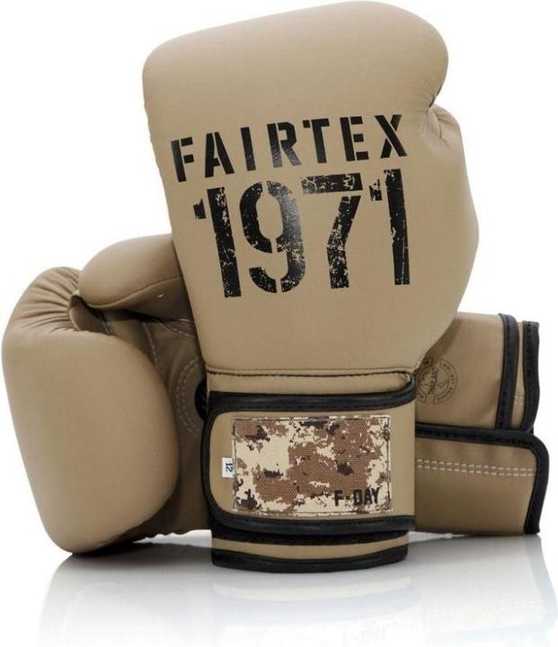 Produktbild Fairtex Boxhandschuhe BGV25 F-Day 2 (14 OZ)