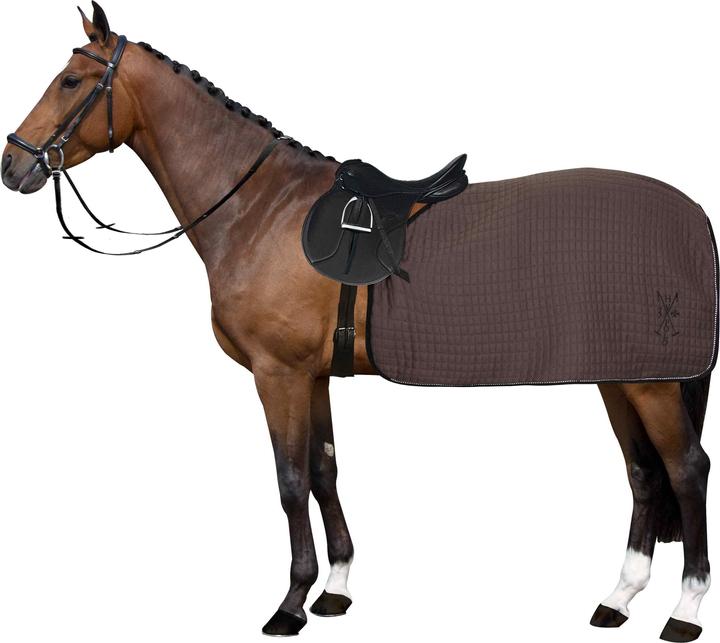 Immagine prodotto HV Polo tappeti per cavai hv poo franka
