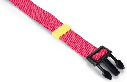 Immagine prodotto Beeztees COLLARE IN NYLON BZ UNI ROSA 48-70 (48, 49, 50, 52, 54, 56, 58, 60, 62, 68, Cane, Generale)