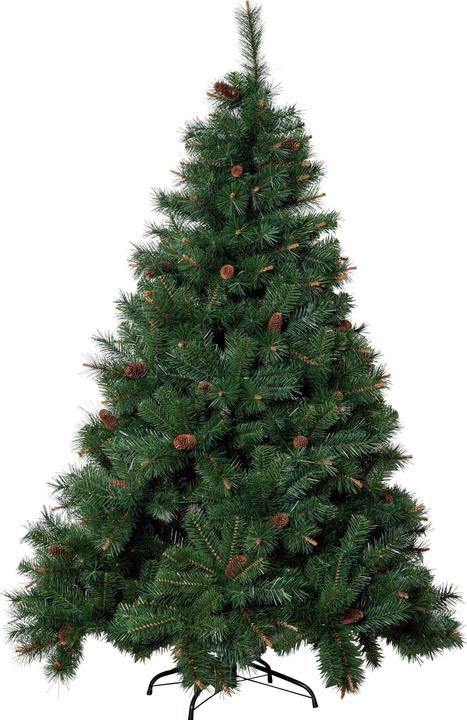 Actual product image Star Trading Toronto (180 cm)