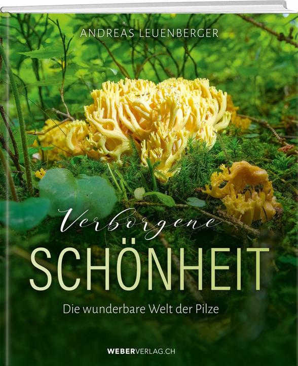 Produktbild Verborgene Schönheit (Deutsch, Andreas Leuenberger, 2024)