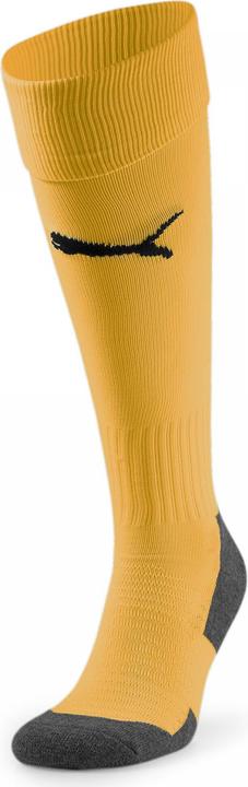 Actual product image Puma Team LIGA Socks CORE-703441 (39, 42)
