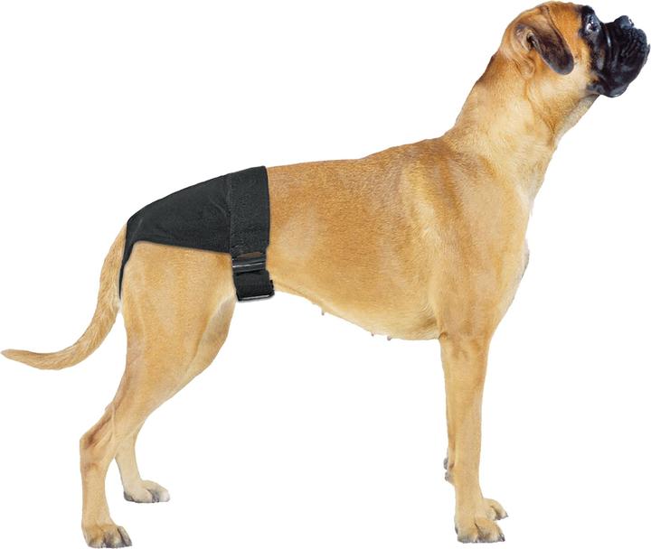Actual product image Swisspet Dog pants CLEANIES size 2 (Dog)