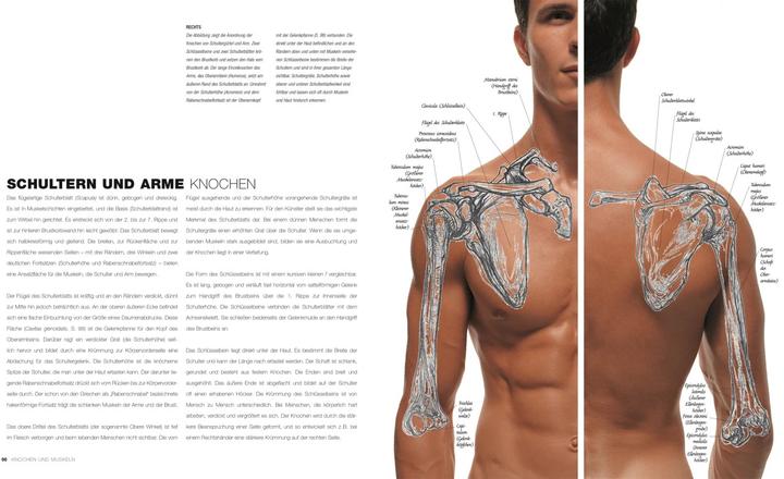 Image du produit Anatomie für Künstler (Allemand, Sarah Simblet, 2021)