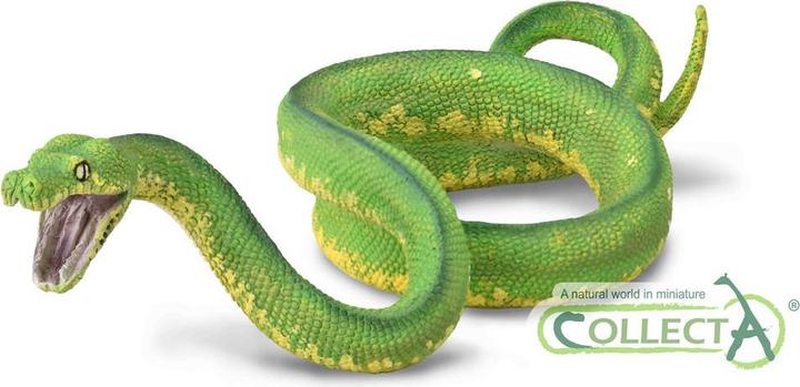 Collecta Question Verte