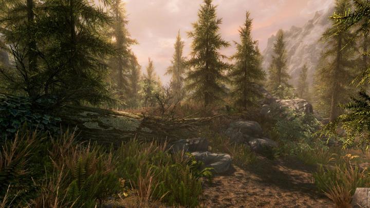 Immagine prodotto Bethesda The Elder Scrolls V: Skyrim (Switch, Multilingue)