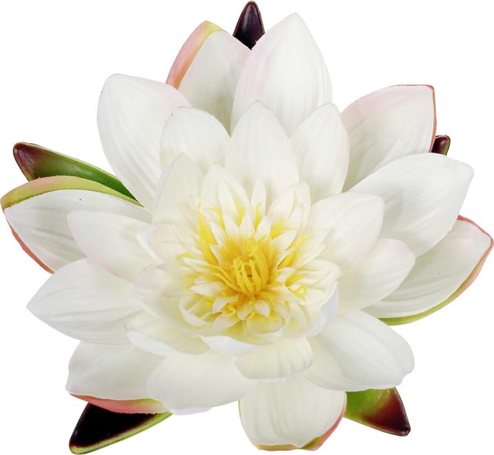 Actual product image Luwatex Water Lily