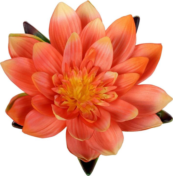 Luwatex Seerose schwimmend