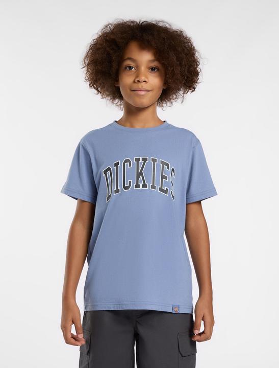 Immagine prodotto Dickies Aitkin Tee SS K (XL)