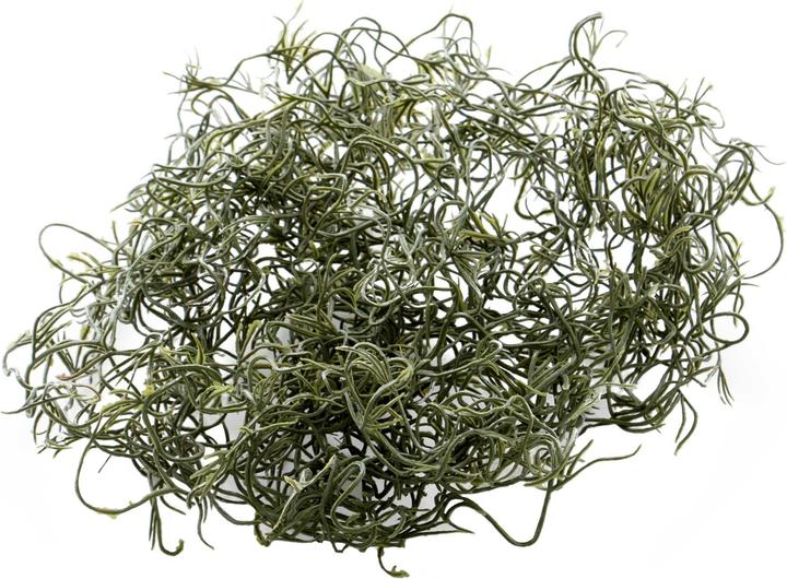 Image du produit Luwatex Tillandsia usneoides (120 cm)