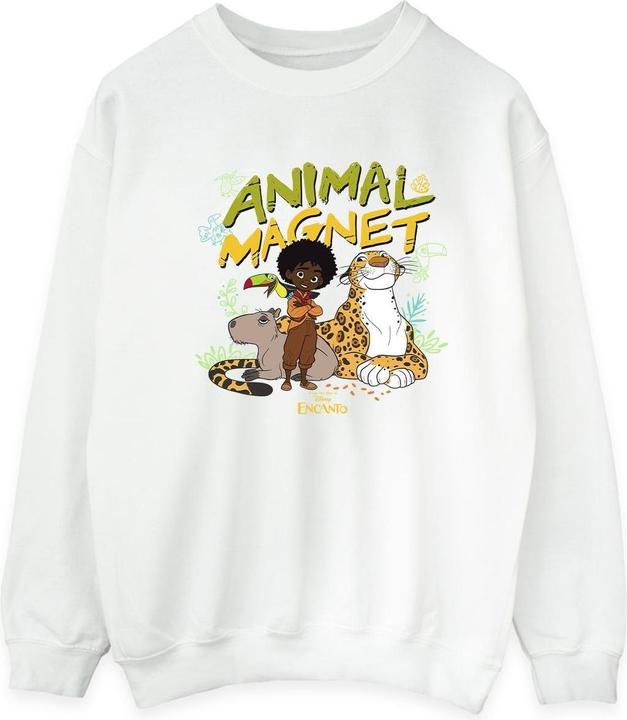 Disney Encanto Animal Magnet Sweatshirt (S)