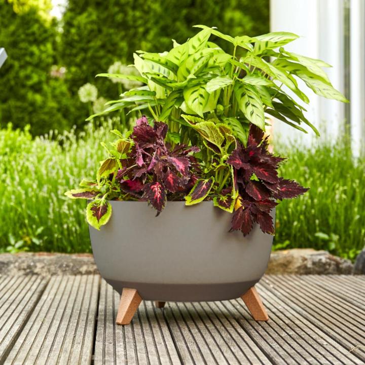 Produktbild Siena Garden Oslo (47 cm)