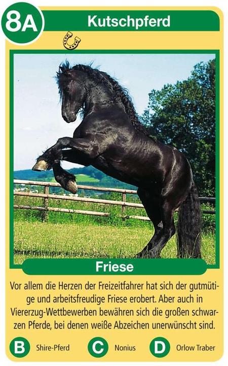 Produktbild Ravensburger Pferde (Deutsch)