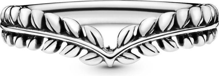 Produktbild Pandora Seeds Wishbone Silver Ring (48)