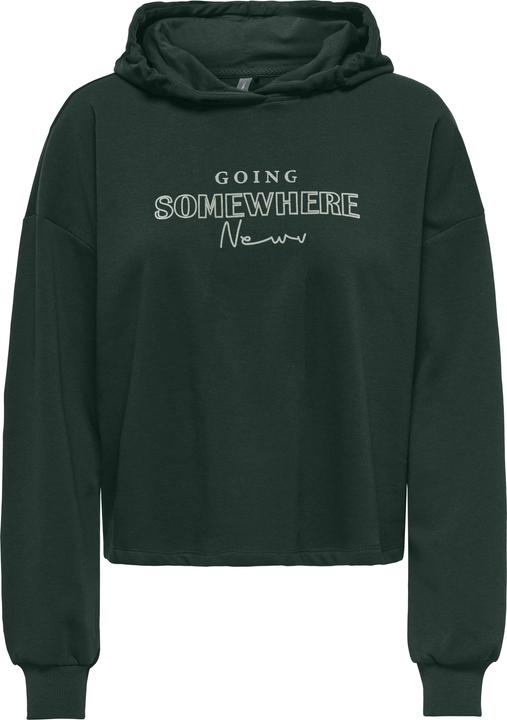 Only Play ONPGO Sweatshirt Kapuzenpullover